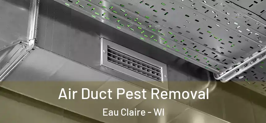 Air Duct Pest Removal Eau Claire - WI