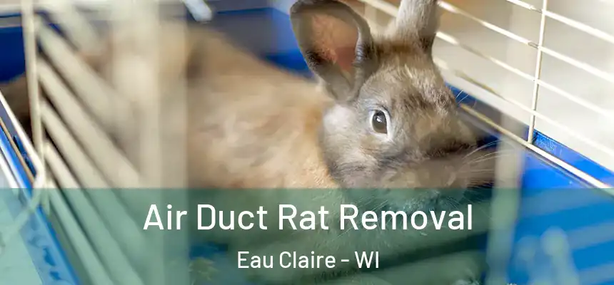 Air Duct Rat Removal Eau Claire - WI