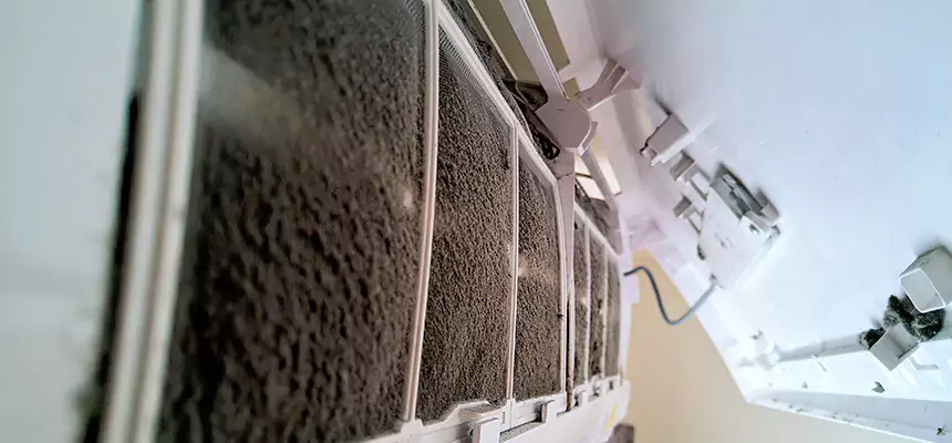 Preventive Air Duct Bacteria Removal in Eau Claire