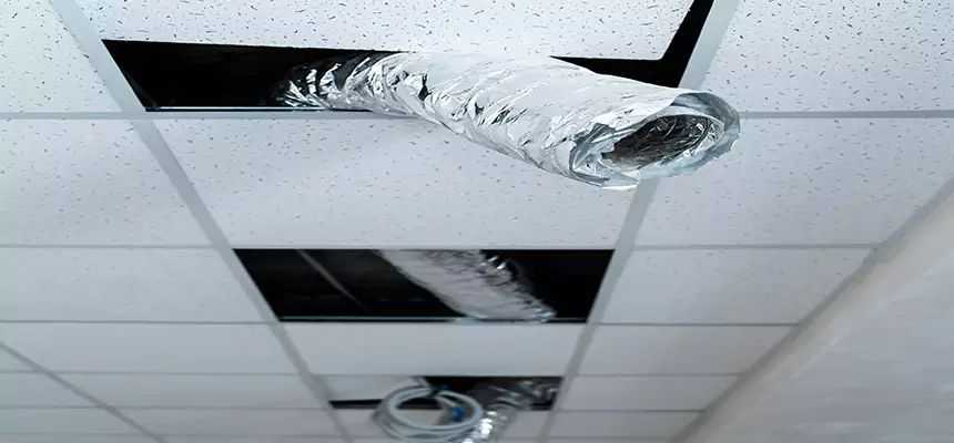 Affordable HVAC Sanitizing After Pest Removal in Eau Claire