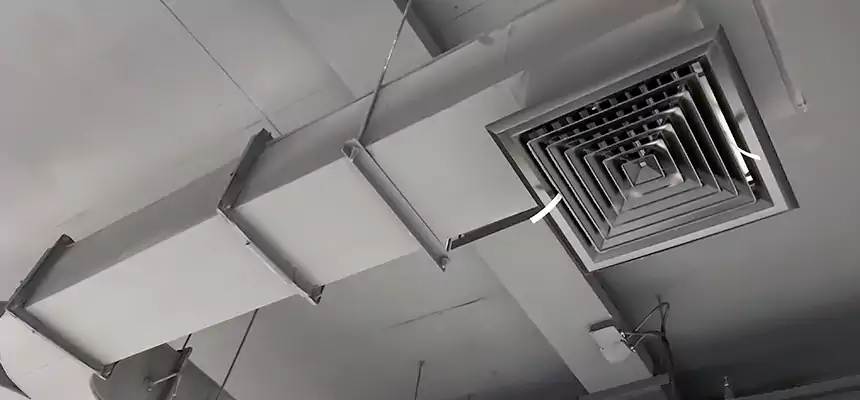 Restorative Allergy Relief Vent Cleaning – Coil, Blower & Housing Detail in Eau Claire