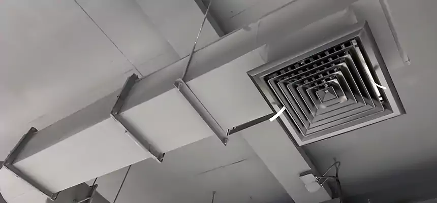 Our Pest Removal From Ducts Services in Eau Claire, WI