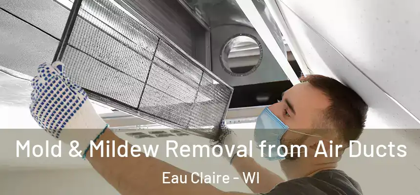 Mold & Mildew Removal from Air Ducts Eau Claire - WI