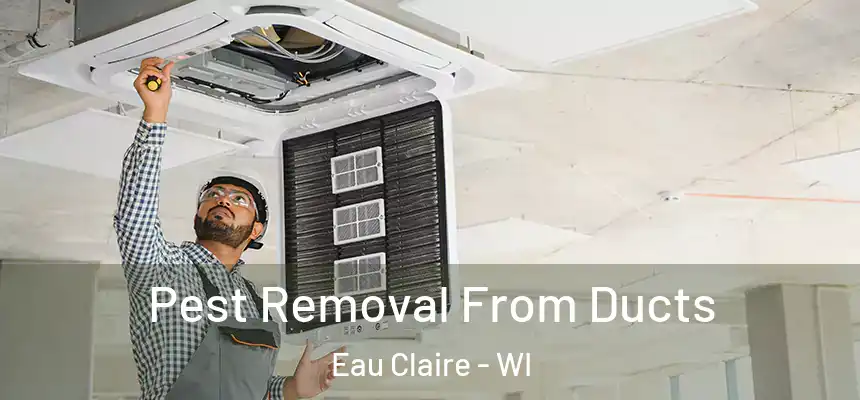 Pest Removal From Ducts Eau Claire - WI