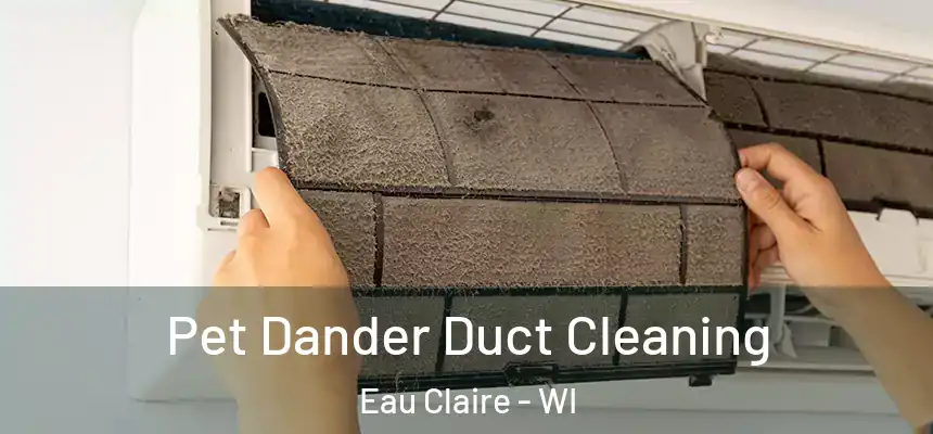 Pet Dander Duct Cleaning Eau Claire - WI