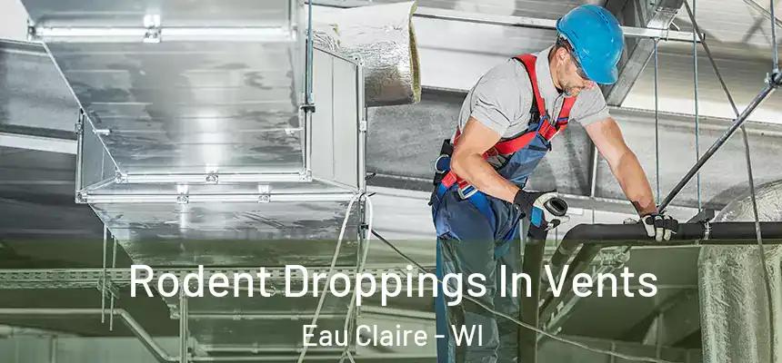 Rodent Droppings In Vents Eau Claire - WI