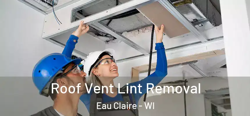 Roof Vent Lint Removal Eau Claire - WI