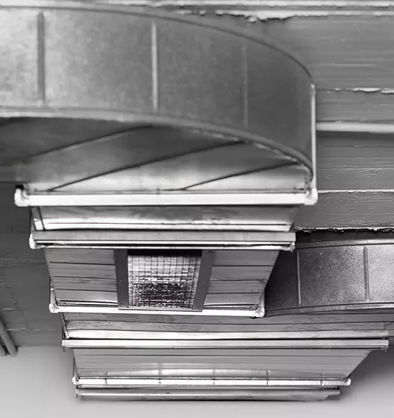 Professional Air Duct Pest Removal in Eau Claire, WI