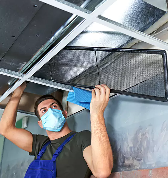 Professional Air Duct Pollen Cleaning in Eau Claire, WI