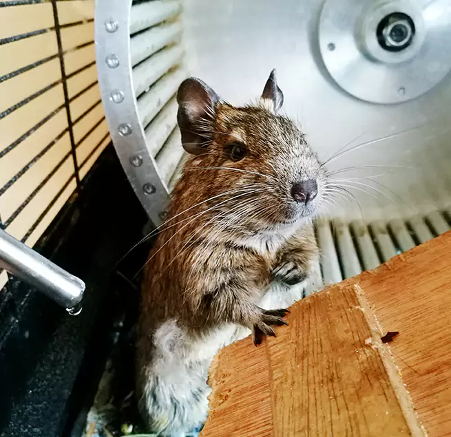 Why Homeowners & Businesses Trust Us Eau Claire, WI